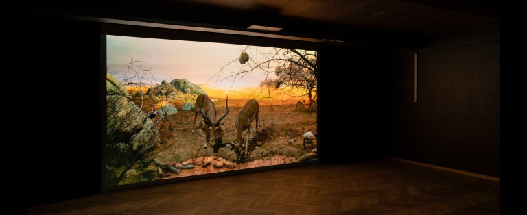 Installationsbillede fra Mathieu J. H. Hansen afgangsværk