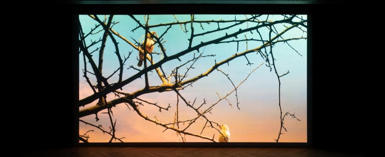 Installationsbillede fra Mathieu J. H. Hansen afgangsværk