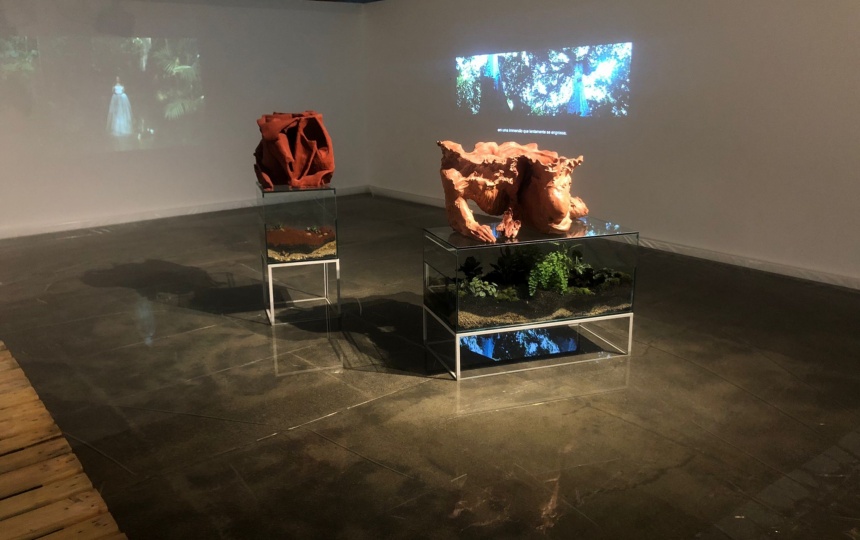 Installationsbillede, Museu Brasileiro da Escultura e Ecologia.